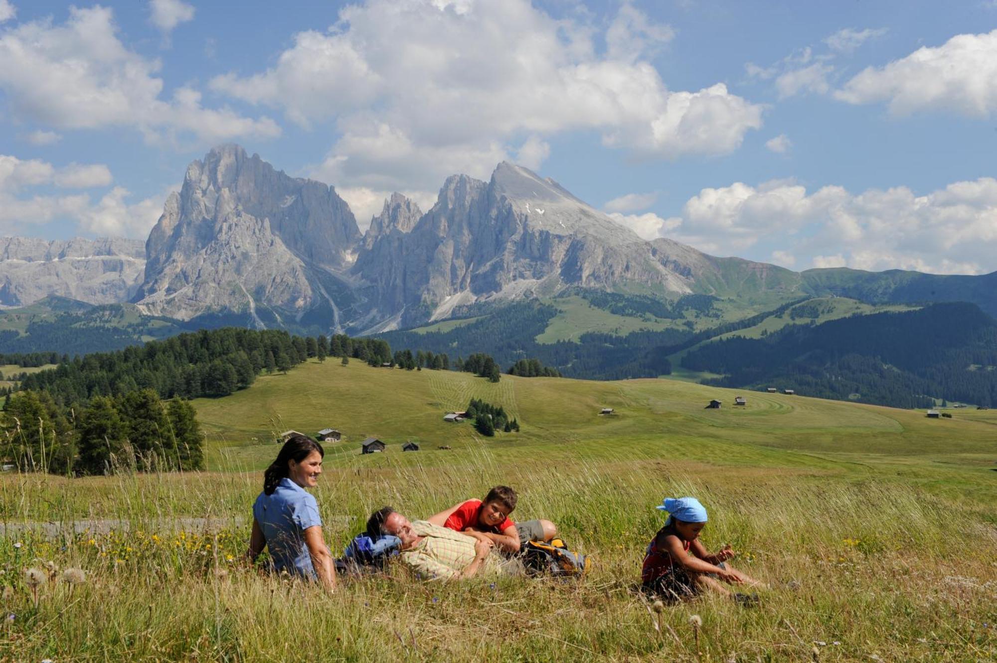 Dolomites Living Hotel Tirler Альпе-ди-Сьюзи Экстерьер фото