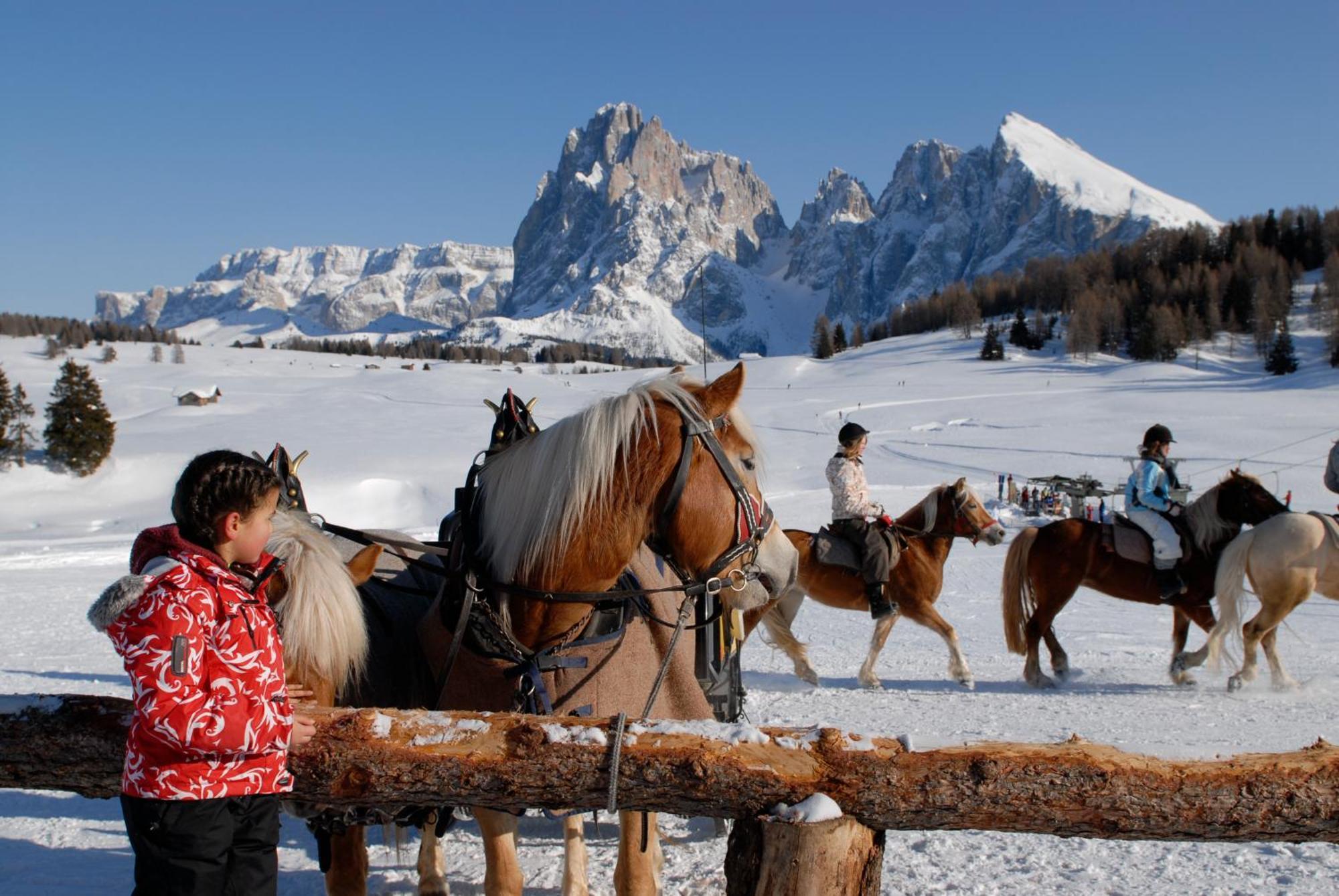 Dolomites Living Hotel Tirler Альпе-ди-Сьюзи Экстерьер фото